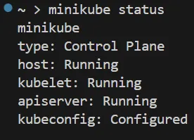 Minikube Status Output